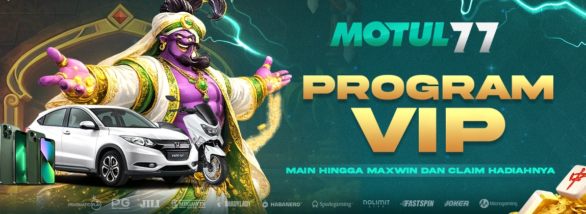Program VIP